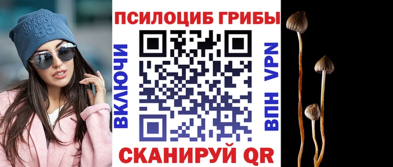 купить   mega tor  Галлюциногенные грибы прущие грибы  Данков 