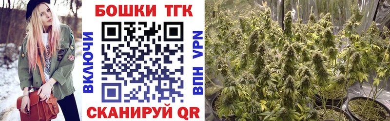 купить дарк нет какой сайт Бошки марихуана сатива Данков